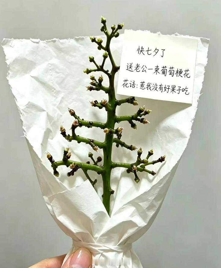 七夕 七夕 愿有情人终成（眷）家属！ 