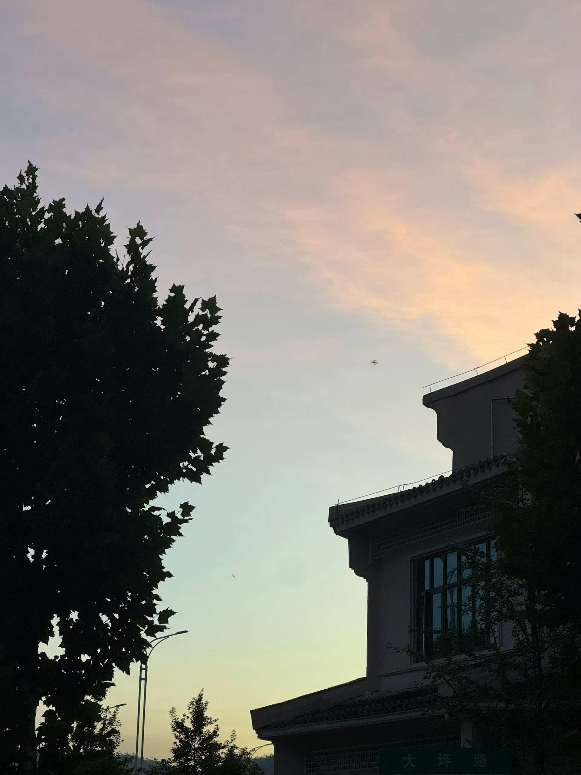 生活细碎，万物成诗。☀️早上好呀！ 