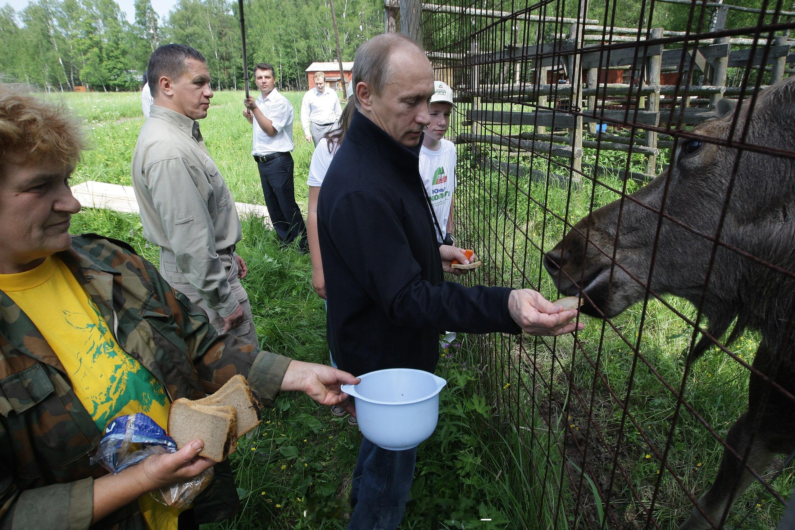 瓦洛佳小朋友  晚安