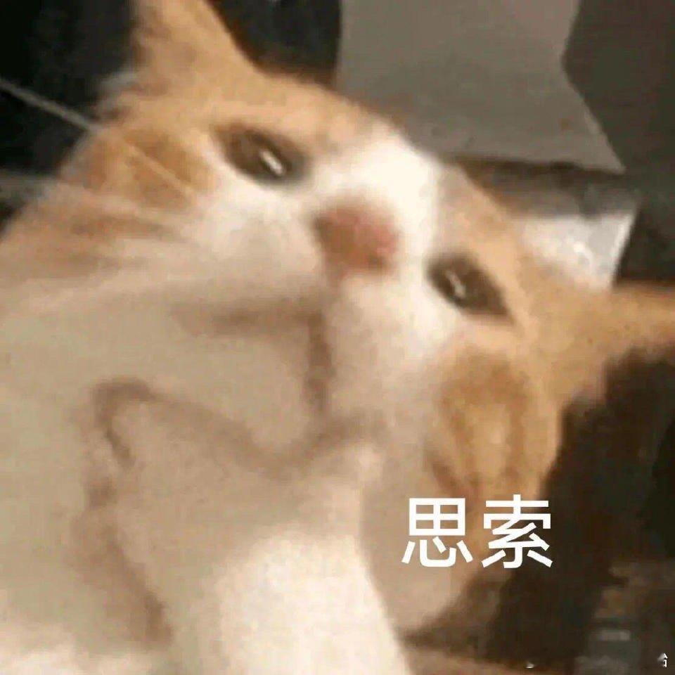 猫猫拯救世界！超萌表情包来了