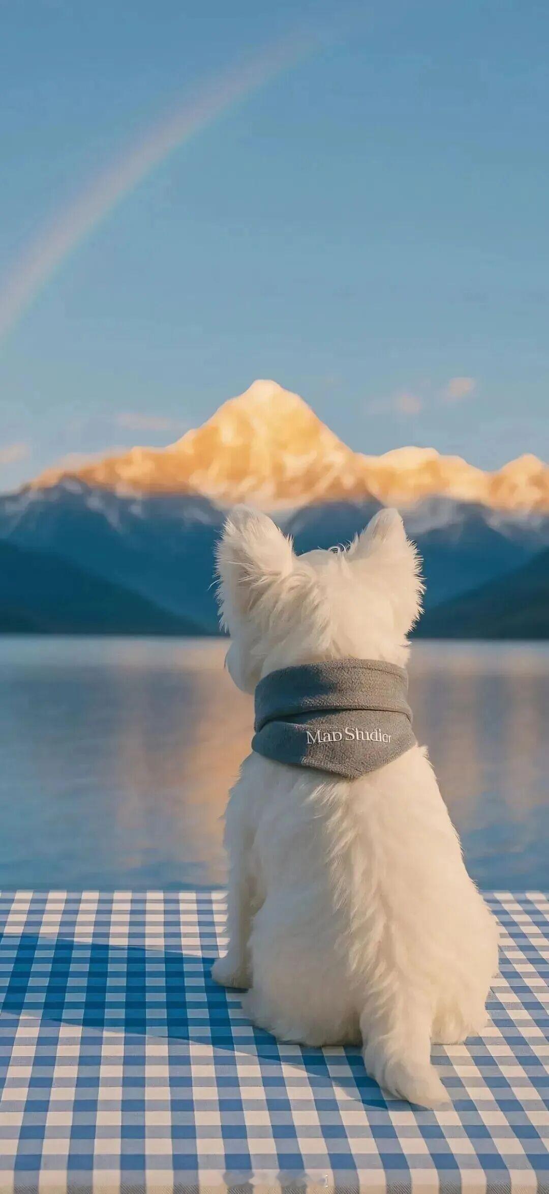 如果生活和你想象的不一样，我希望你能有勇气，重新启程。——《返老还童》晚安