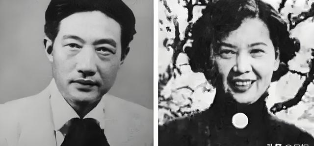 1951年秋，徐静斐推开画室门，撞见继母廖静文蜷在墙角啃窝头。她一把掀翻粗瓷碗：