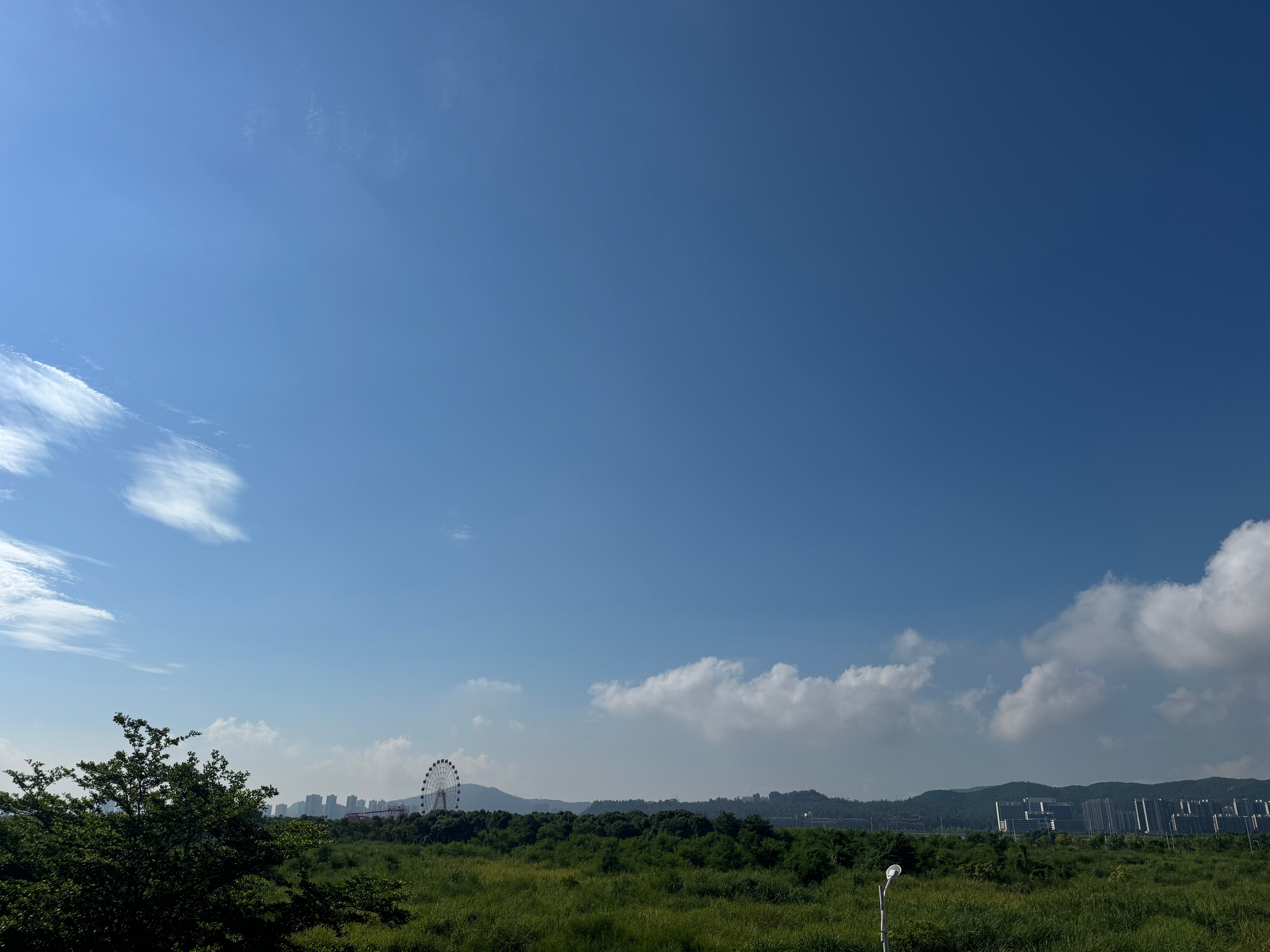 早安  早早早下了一个半月的雨，终于大晴天啦☀️ 