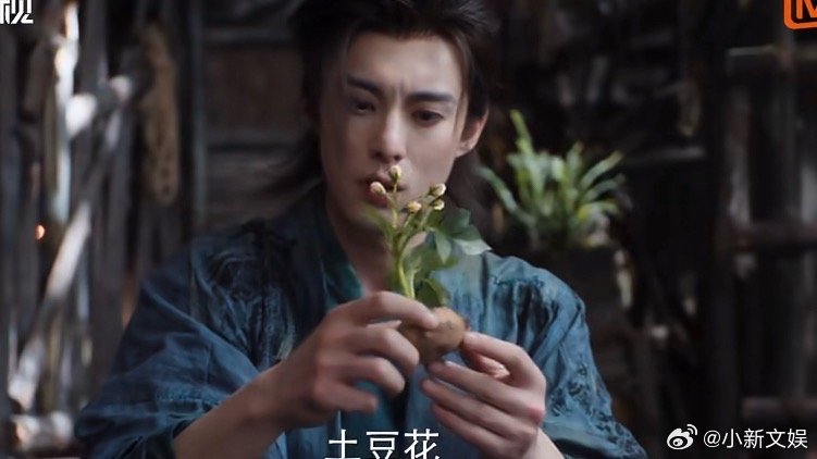 重生之王鹤棣在仙门种土豆 王鹤棣麦大爷土豆仙你们举个叶王鹤棣+仙门+种土豆，这设