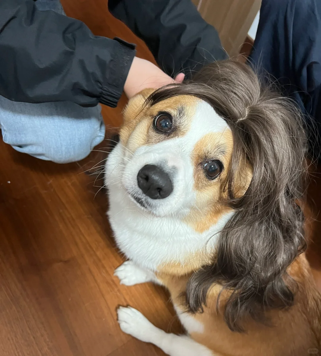怎么回事 🤣还有点好看呢哈哈哈