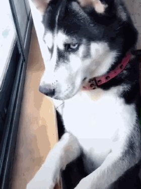 家里有个傻儿子，咋整！
我姑娘问我儿子，
她结婚作为弟弟能给多少钱，
我儿子说给