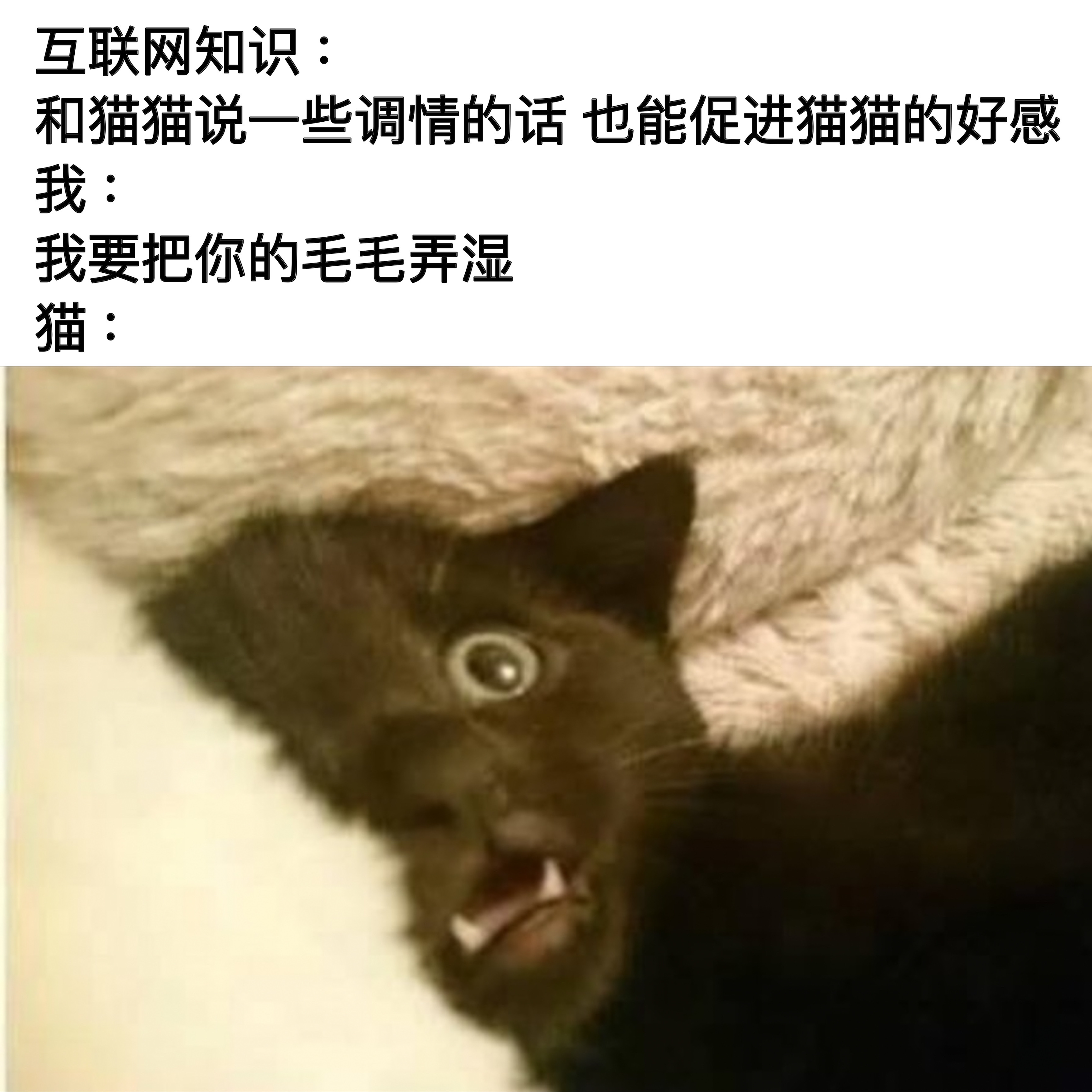 恶魔低语 
