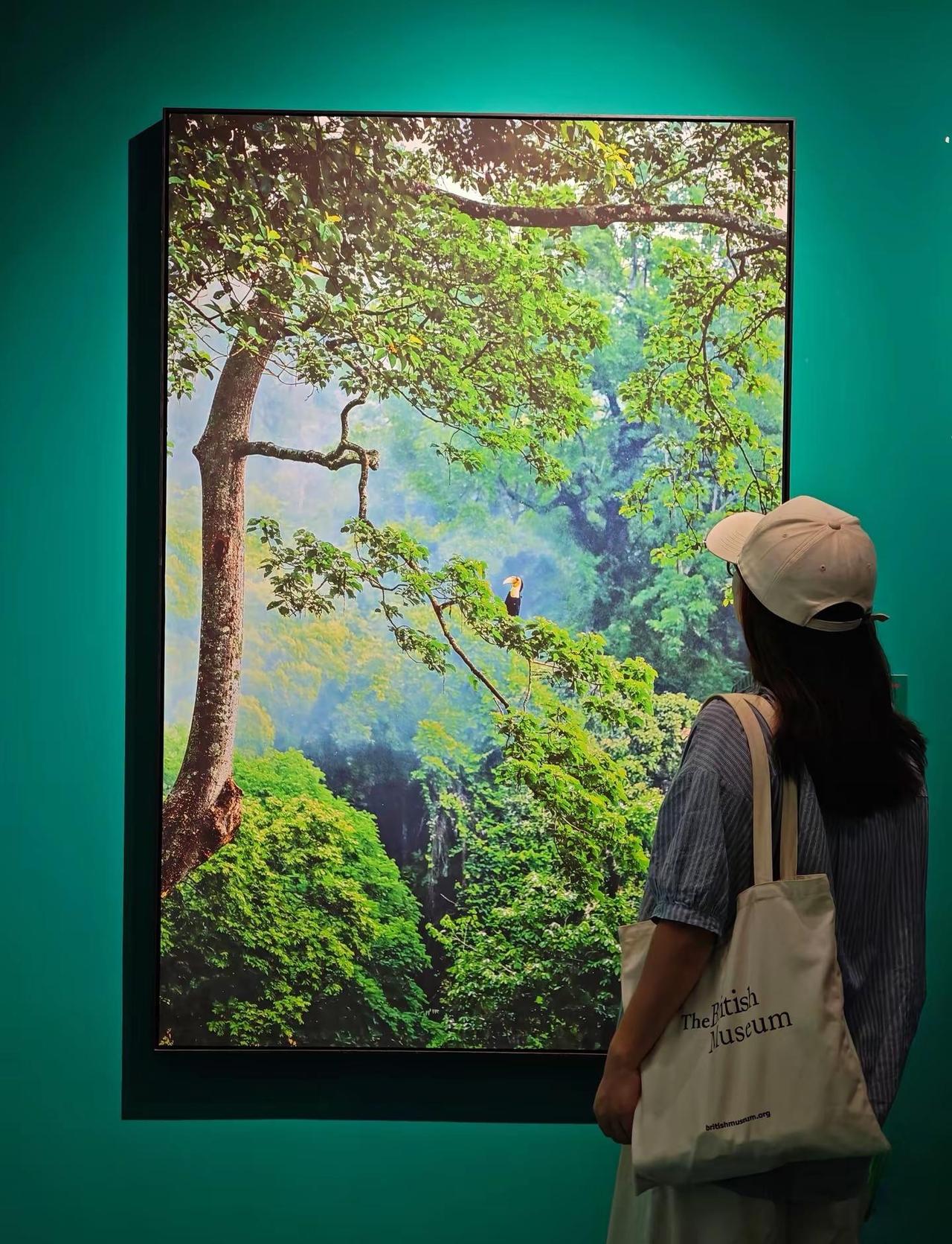 广州新展🔥2026中国国家地理展来啦！那些我没去过的地方中国国家地理替我去了！