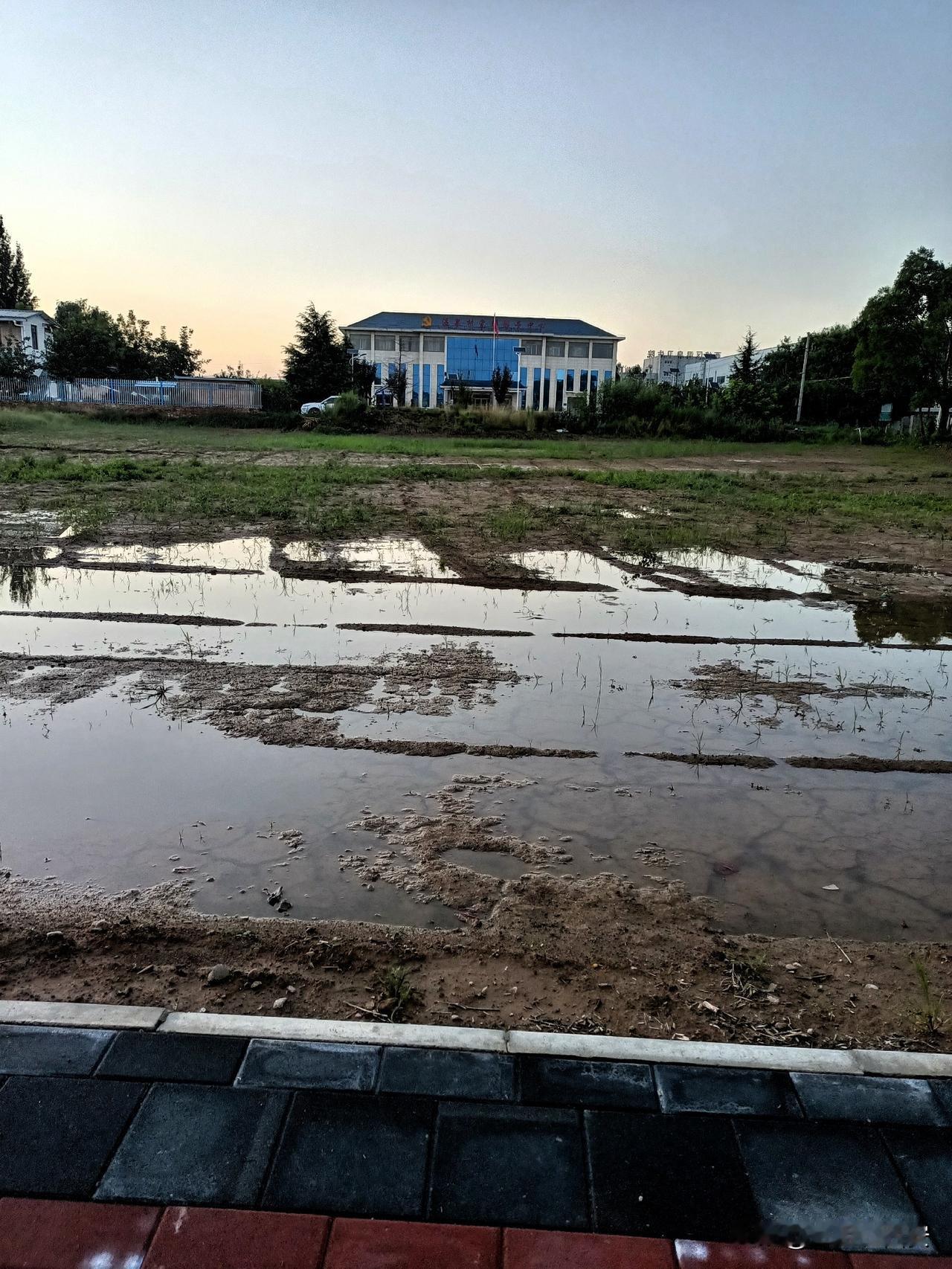 雨后夕阳余晖下的村庄，看看，是你喜欢的农村的样子么？

夏日生活打卡季