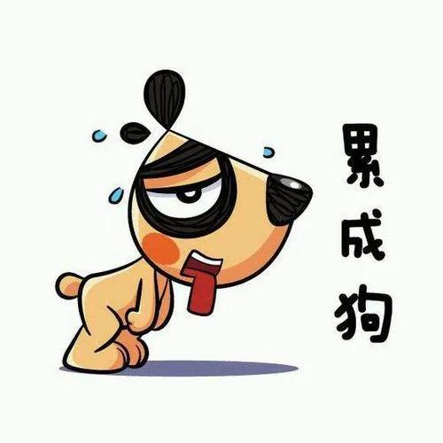 人生不要太累，复旦博士于娟六年获两个硕士学位和海外博士学位，30多岁患晚期癌，人