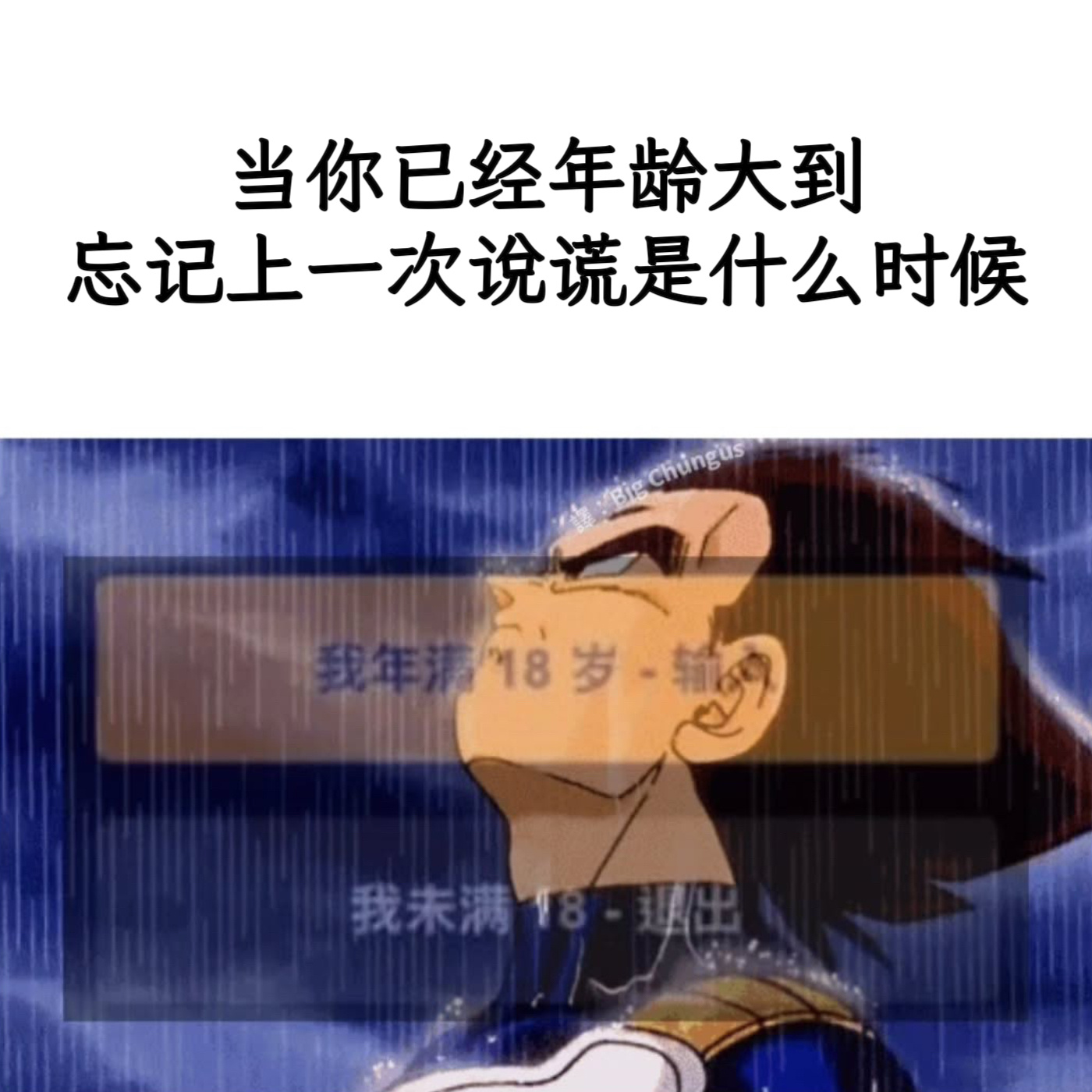 早已名正言顺memes