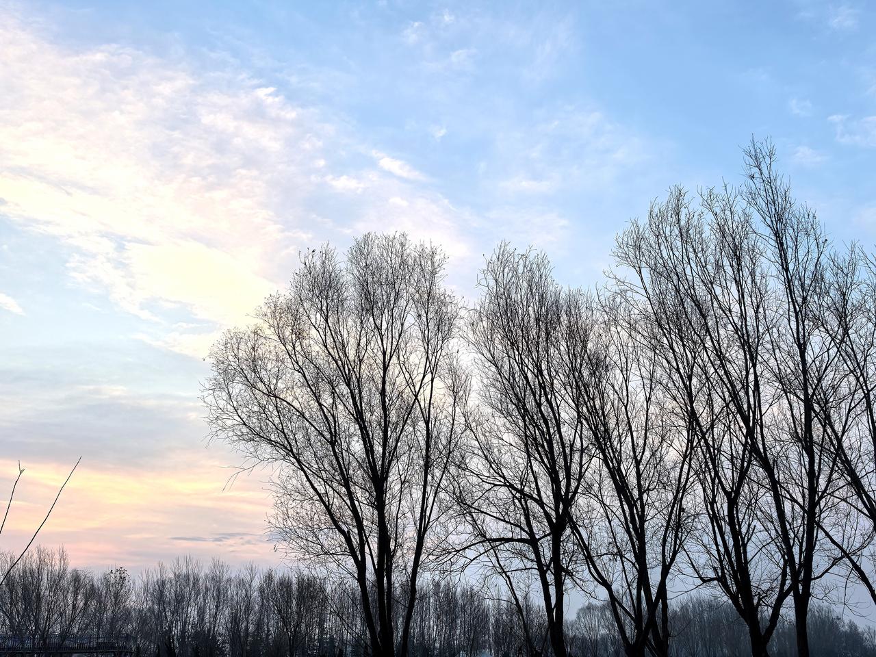 智力缺陷被任命为村支书，自己却毫不知情！
《澎湃新闻》报道了河南辉县的一则奇闻: