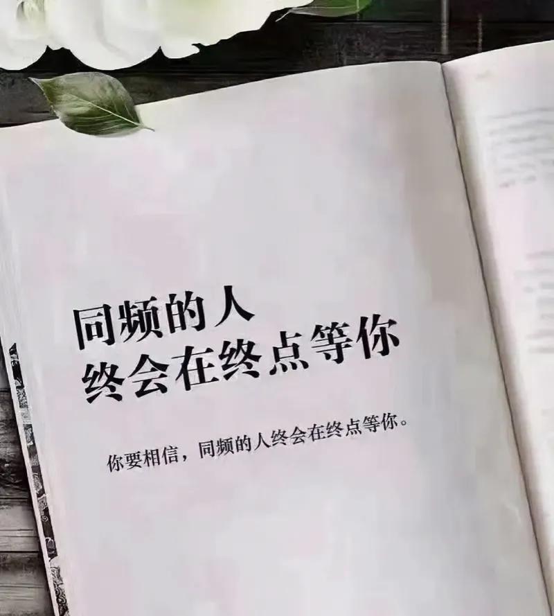 宫崎骏：“幸福大概就是，你喜欢黏着我，而我永远都不嫌你烦，喜欢是开始，爱你永远不