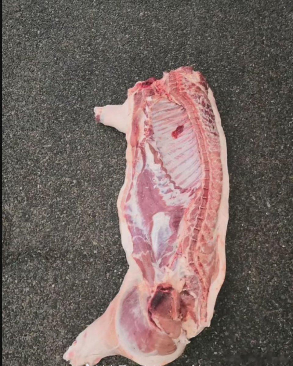 时间会证明猪半体的，最好的策略就是拿着不动