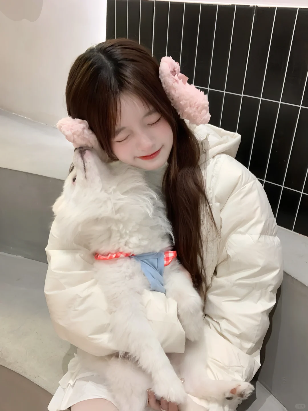 🐕་་ 我滴小狗日记📔