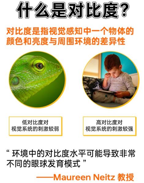 科学家发现，孩子在户外待久了，近视发展慢。一开始以为是“望远”和“阳光”的功劳。