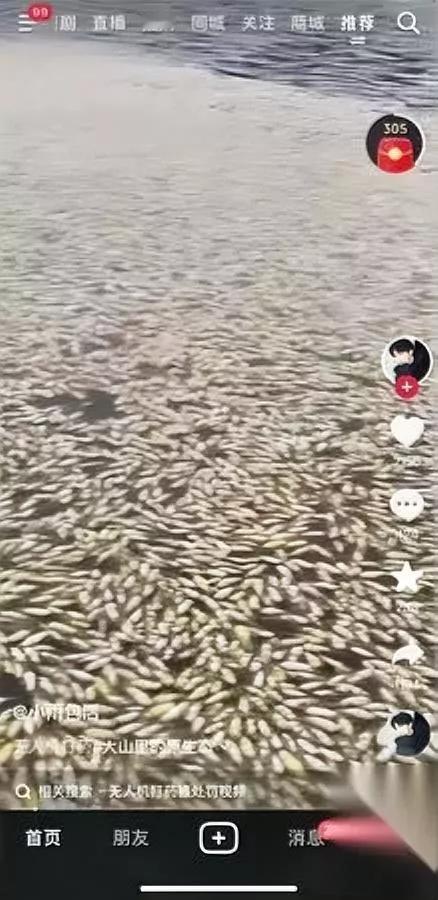 刷到一堆视频

越看越心凉

居然全是无人机乱打药的糟心事，好好的竹子被打黄了，