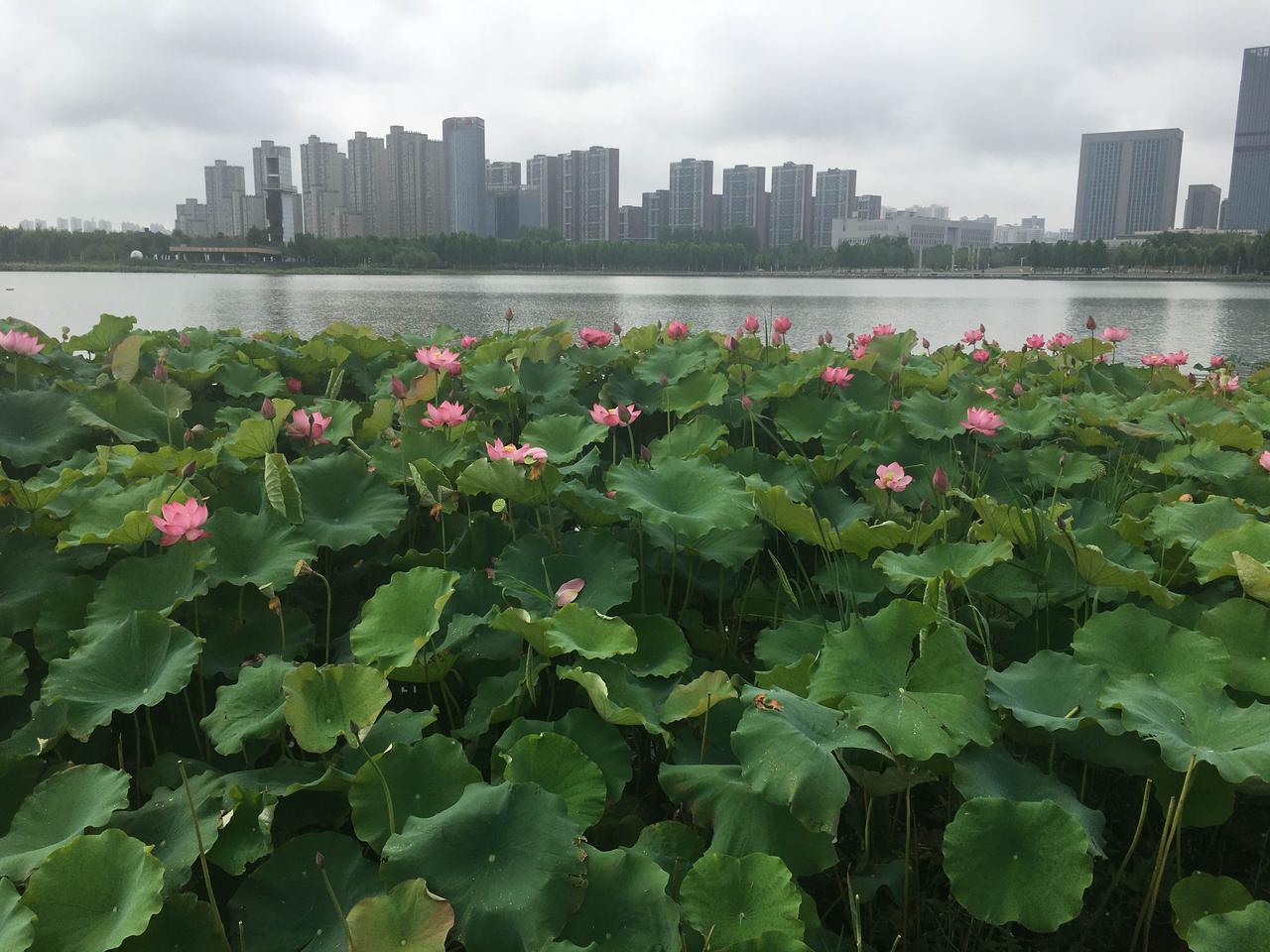 给自己一句话，你会说什么?对自己说：心有山海，静而不争；行有坚持，终见花开