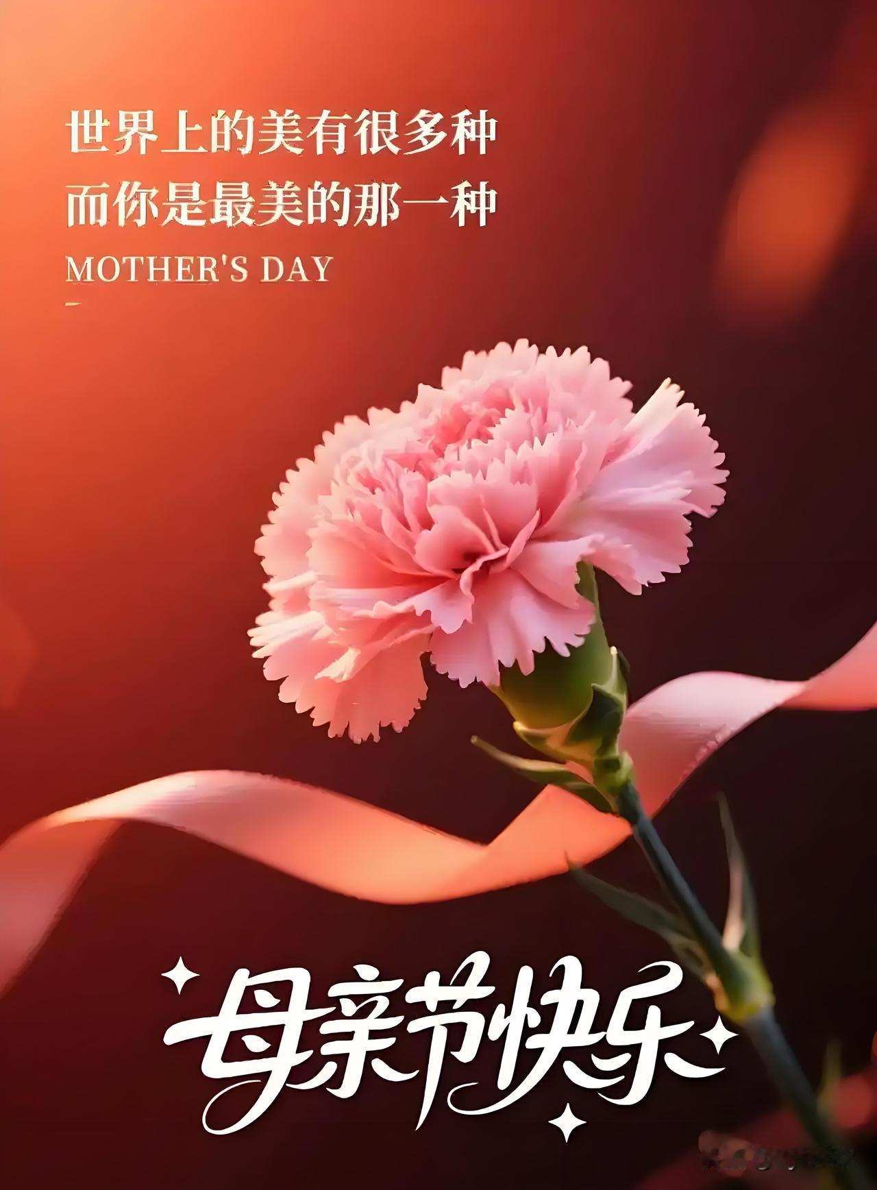 五月和风送暖，今日是专属母亲的温柔节日，千言万语，都道不尽对母亲的感恩与敬爱。