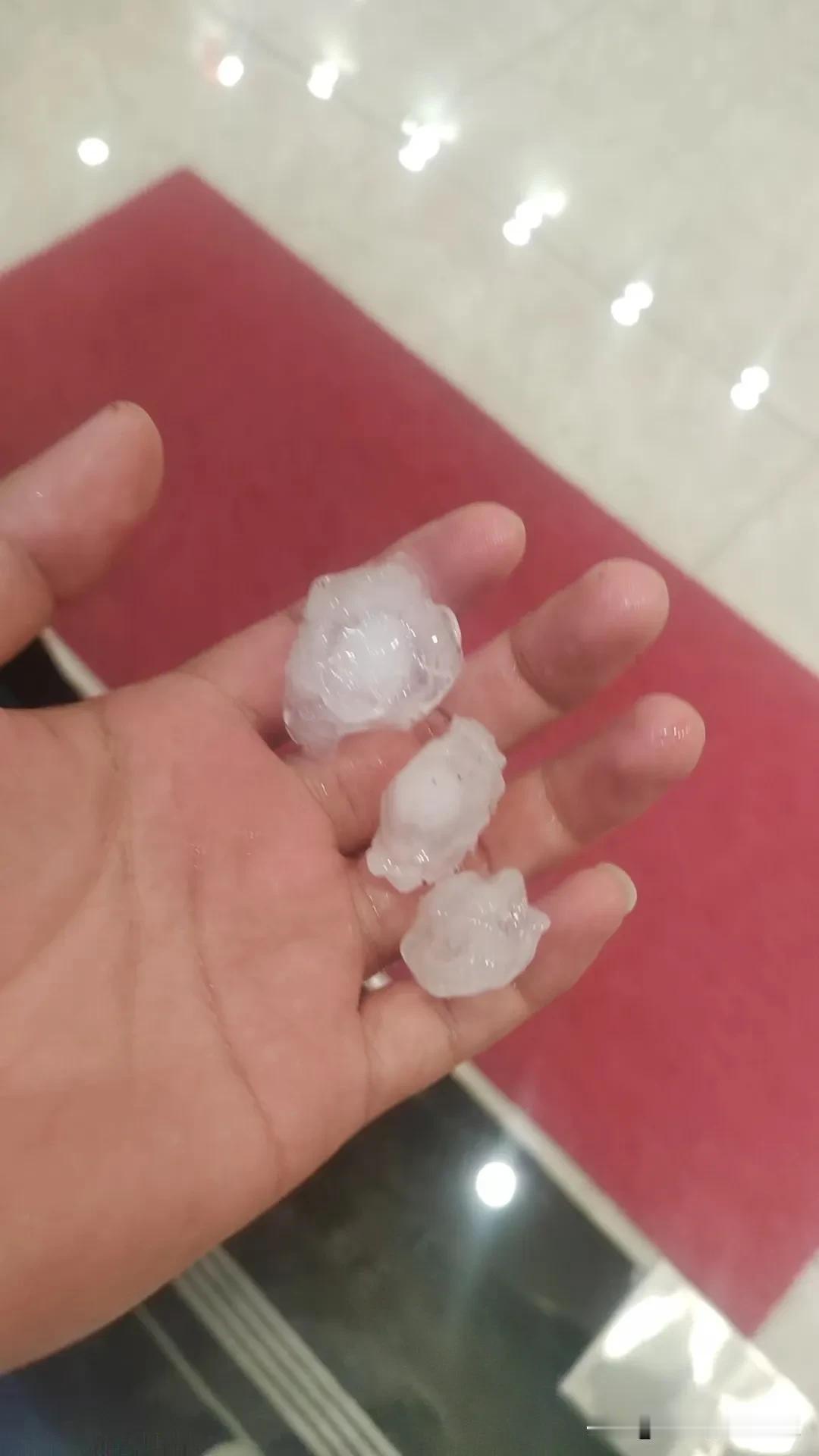 刚刚，顺德，疯狂大暴雨，窗户打的啪啪响。我说干嘛呢？一看下冰雹了！好多年都没见过