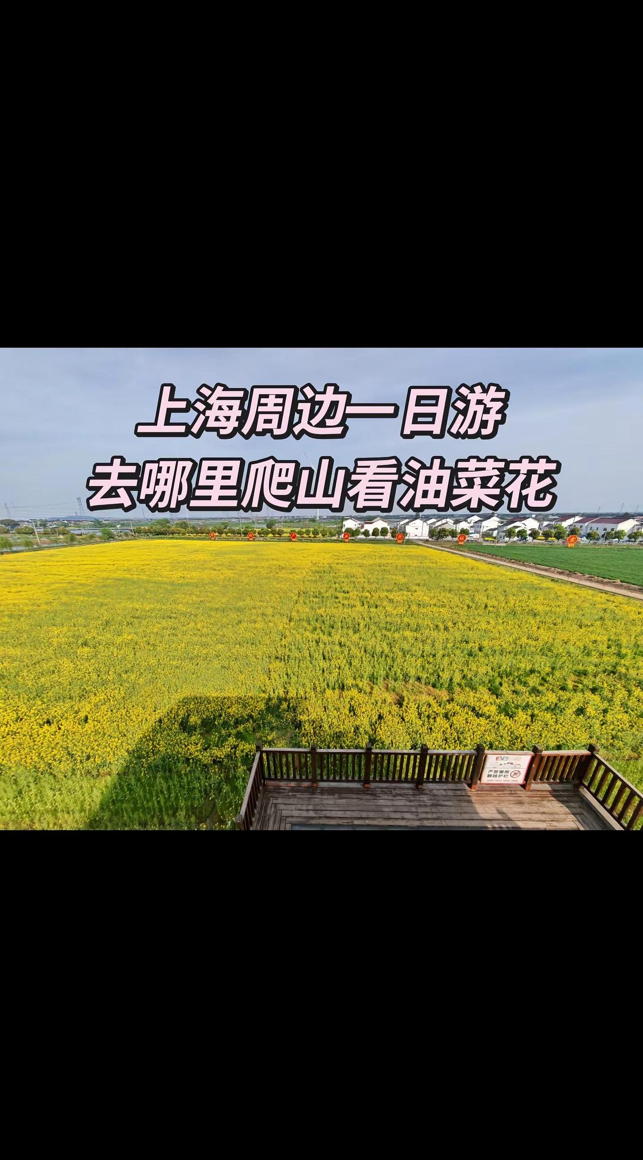 周末上海周边一日游去哪里 爬山