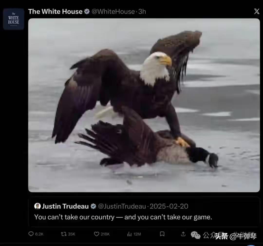 美国和加拿大这对“亲”兄弟，通过鹰🦅和鹅这两种代表性动物又“干”上了！
