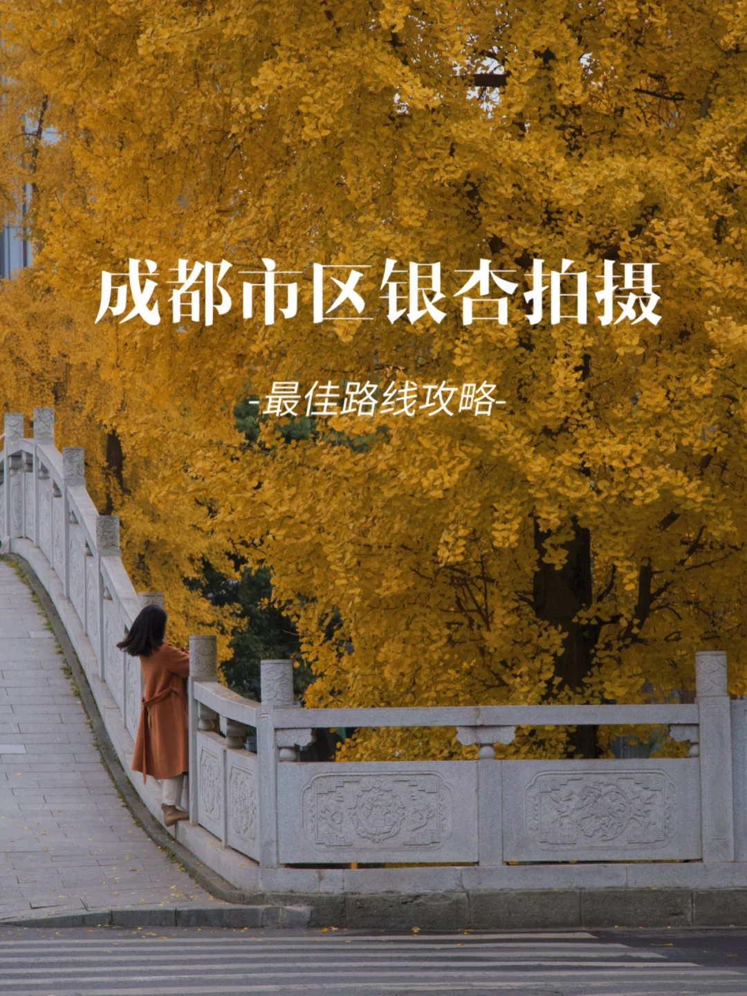 成都银杏绝美处｜走马锦城西，银杏美如金🟠
