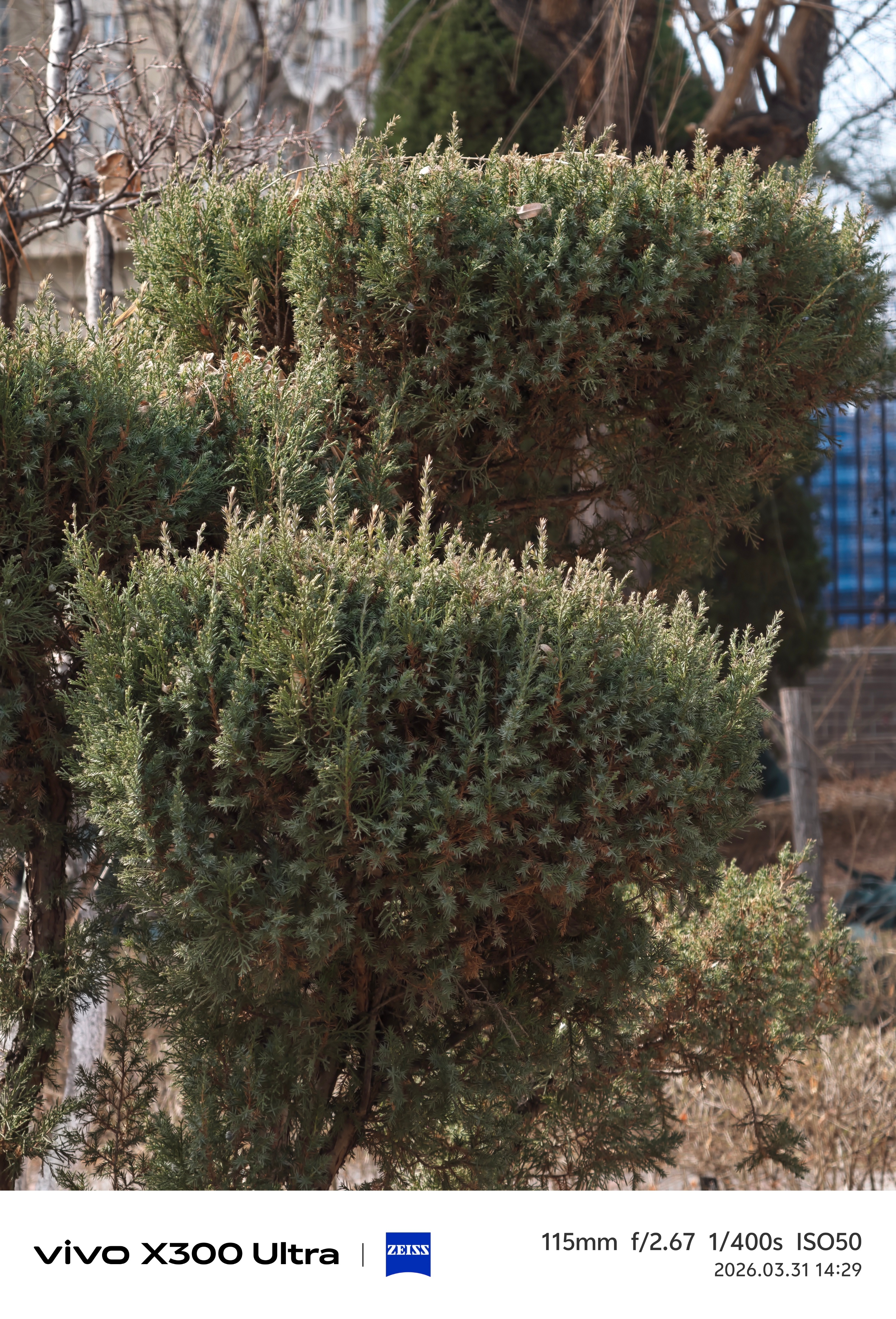 兄弟们，如果想追求肉眼效果，一定要开原色模式，默认的鲜明模式和真实半毛钱关系都没