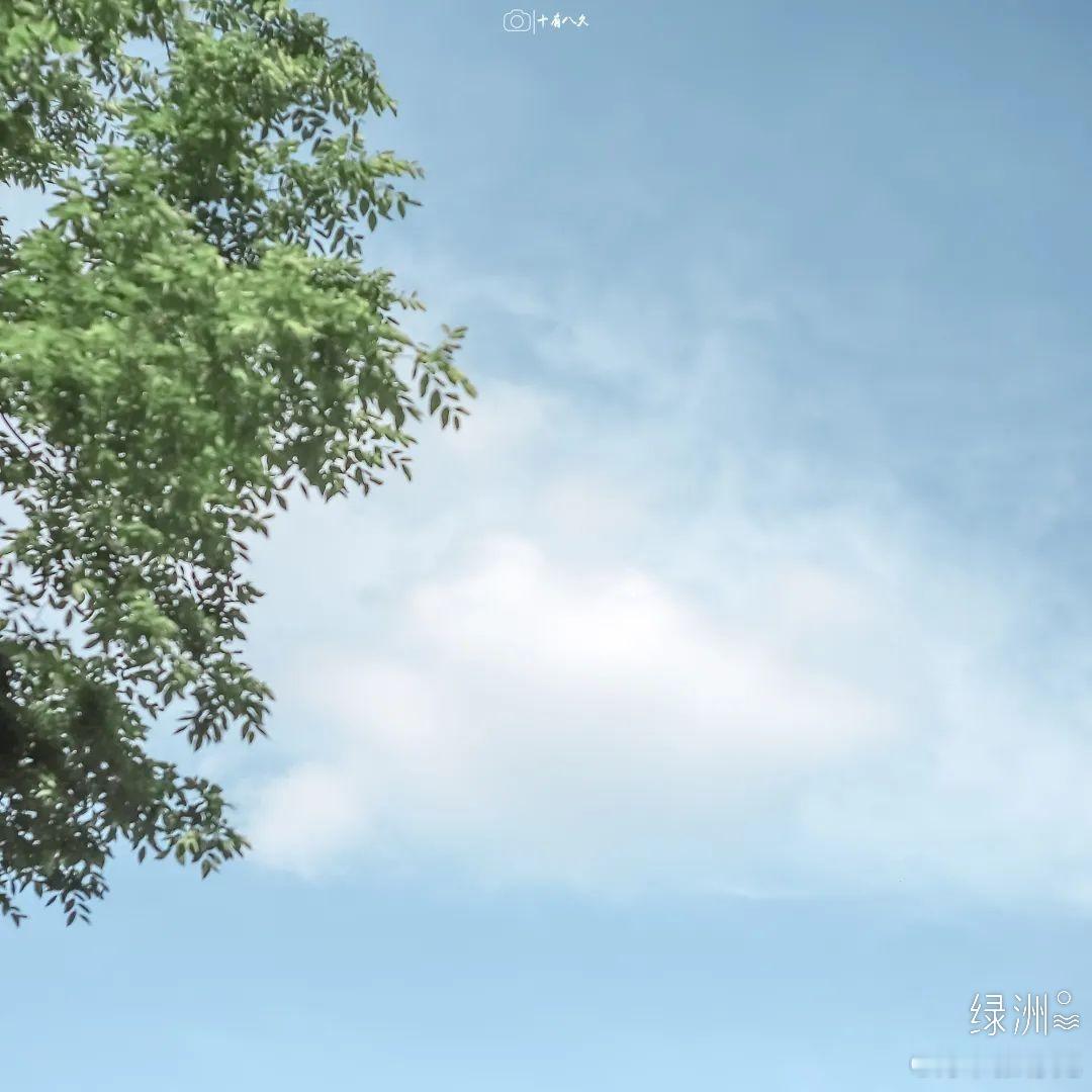 好书一大摞的橱窗 好书一大摞 你可以在一念之间发现许多东西，而这些你平时都没有发