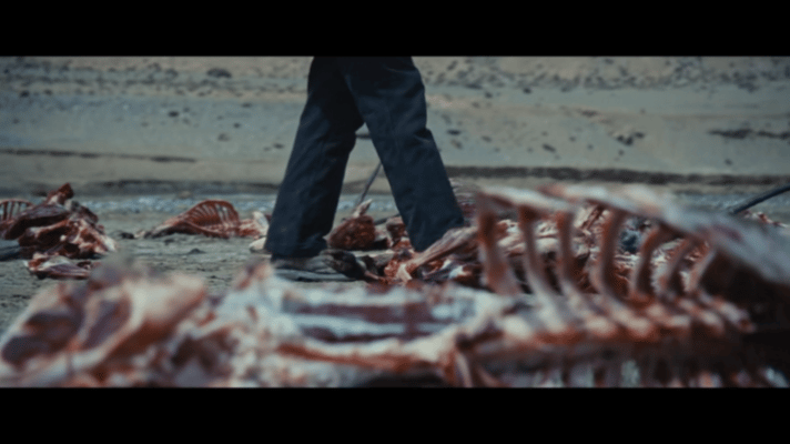 杨紫胡歌新剧重生之末世求生 白菊在沙尘暴里挣扎、暴风雪中前行的画面太戳心🌪️?