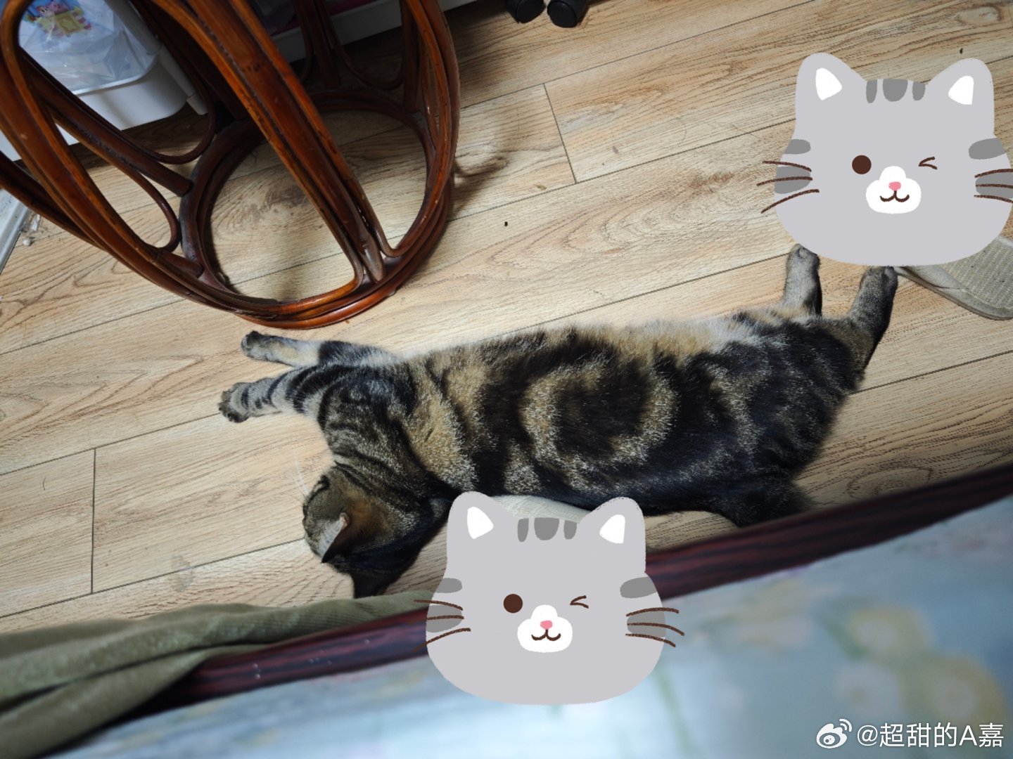 好好笑，我躺在床尾看手机，oi半天没有声音，我手机伸出去一看，它用一模一样的姿势