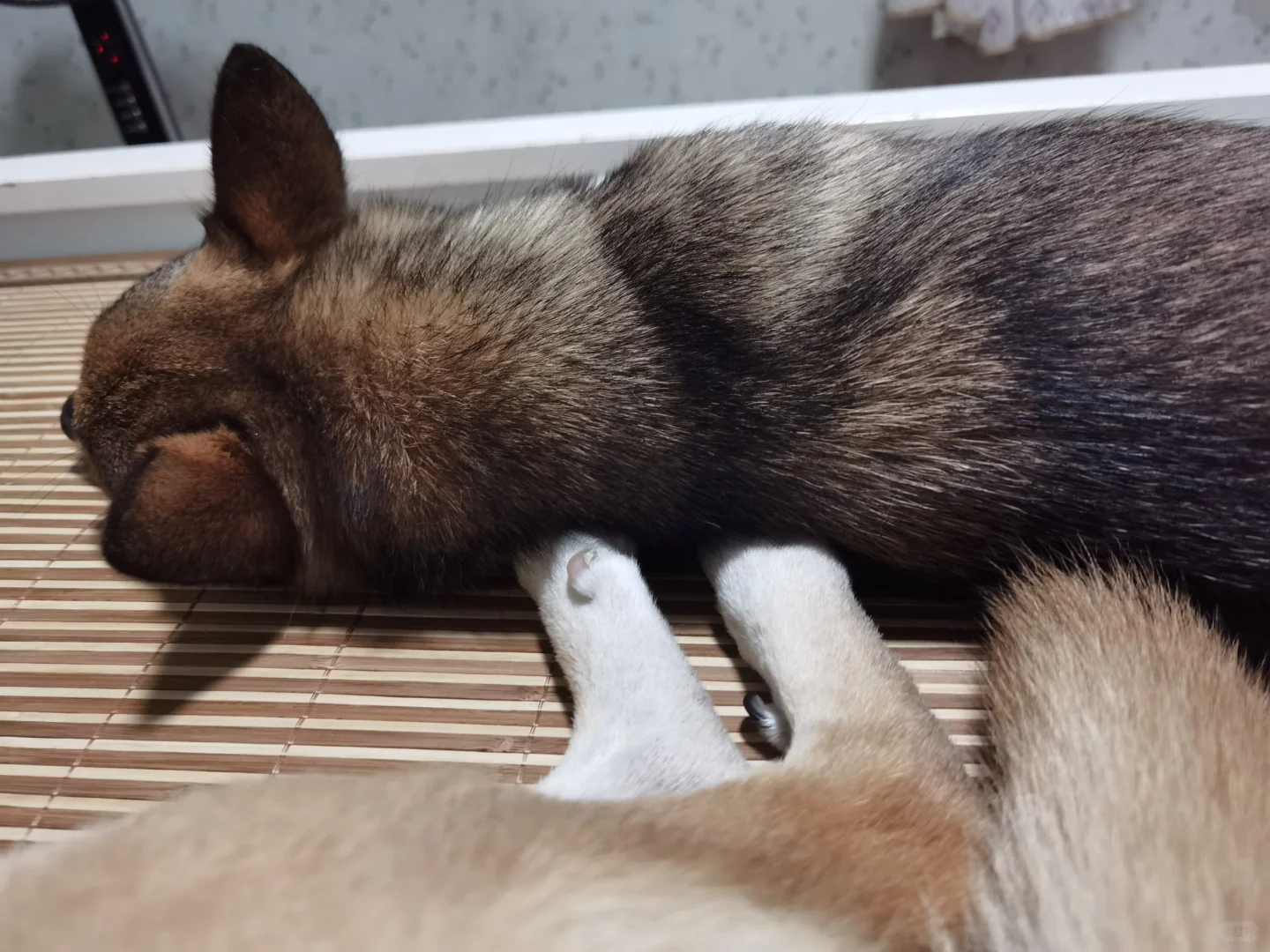 枕着姐姐的玉足