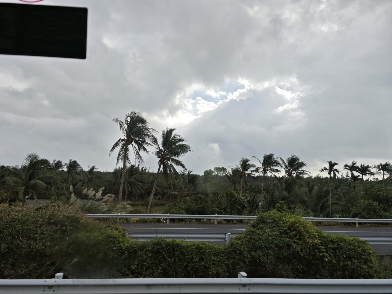 分享一张最近随手拍的照片3.阴天的椰林公路，少了烈日的喧嚣，多了份沉静的治愈