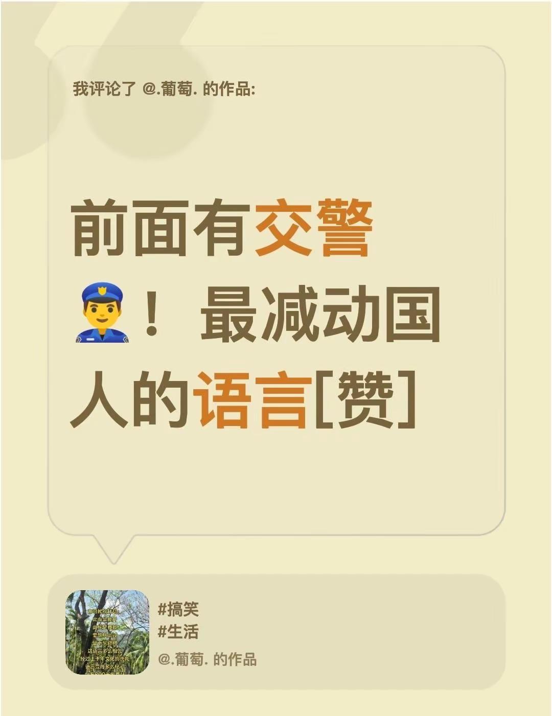 我评论了@.葡萄. 的作品：前面有交警👮‍♂️！最减动国人的语言[赞]