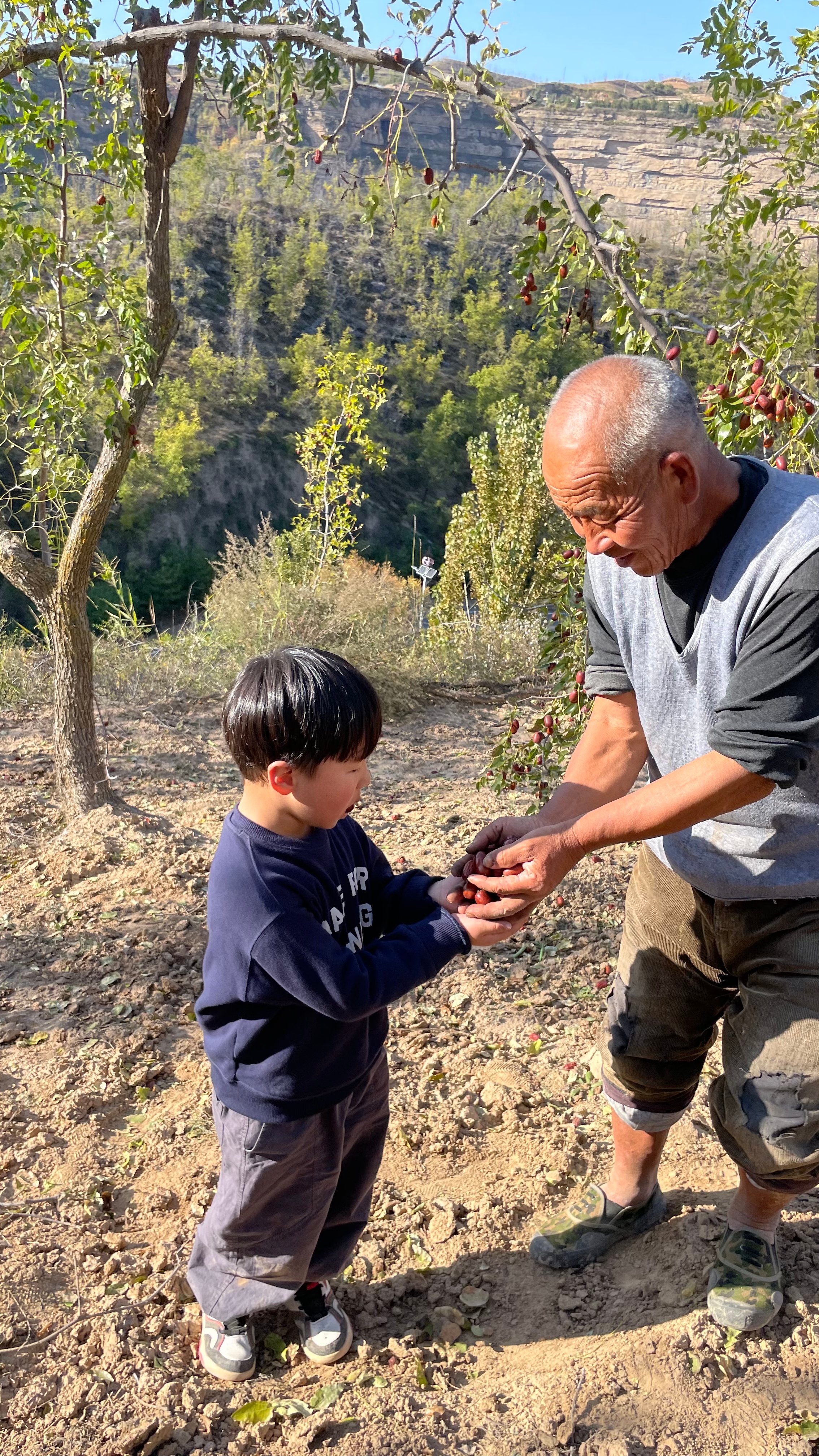 我常踏上这片厚重而深沉的土地，我热爱这里看似贫瘠却又充满无限生命力的土地，我喜欢