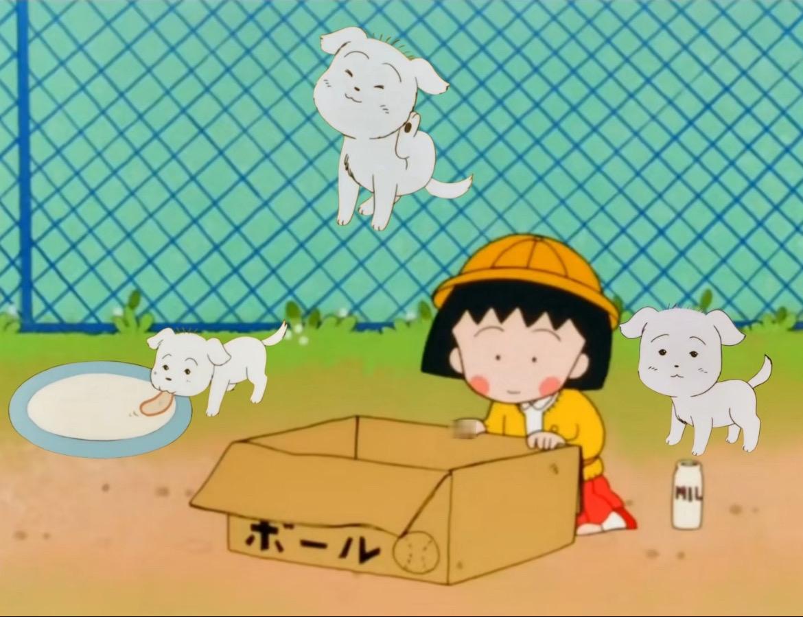 小丸子 