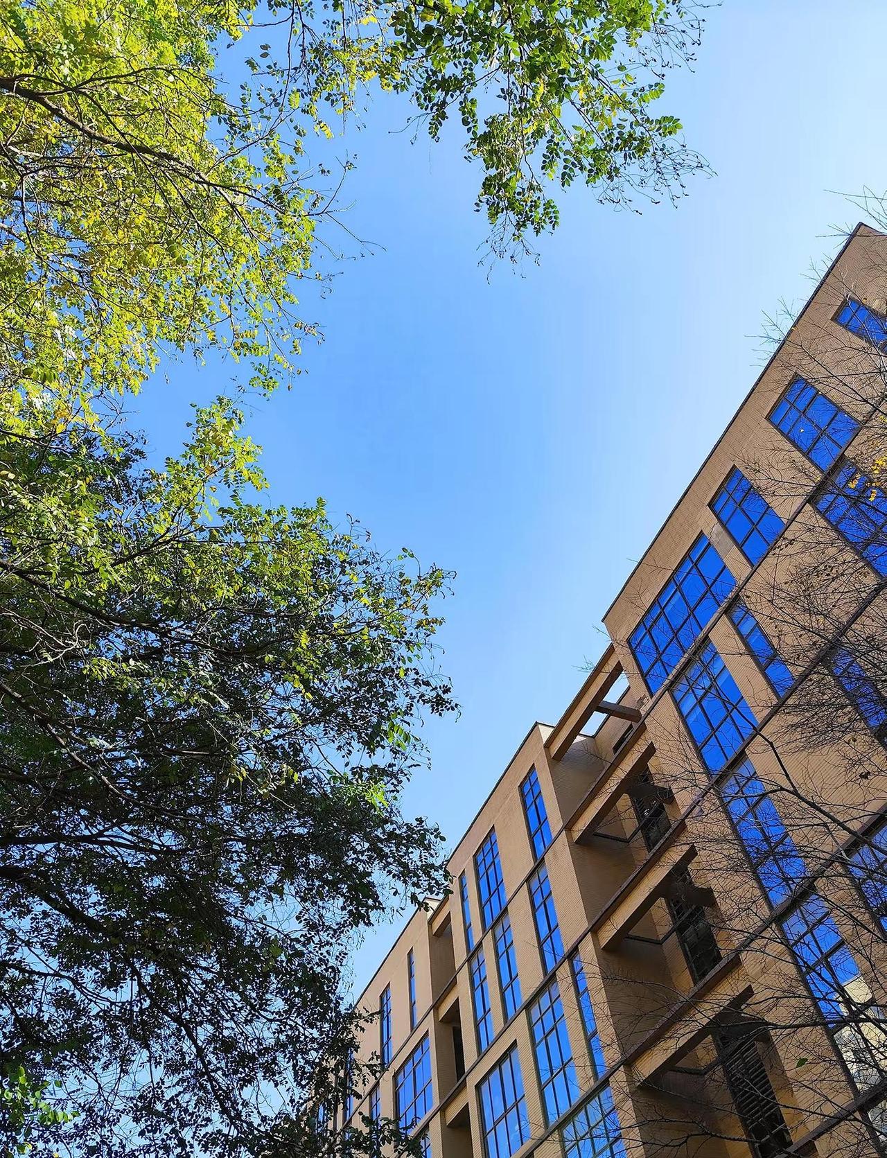 国际局势 最新消息 大国博弈 经济