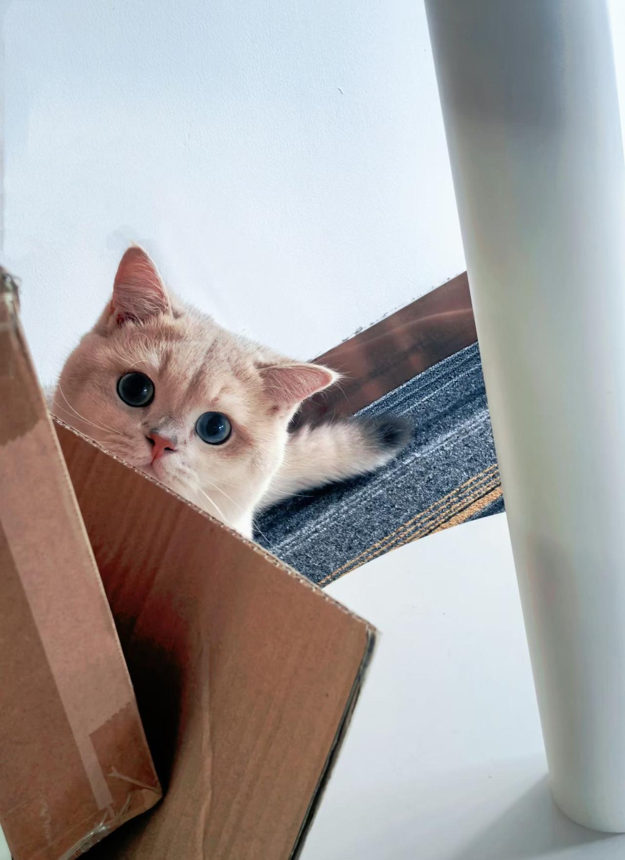 我会坚持在头条发文，而且它正慢慢成为一种习惯。头条是个超棒的平台，对咱普通人超包