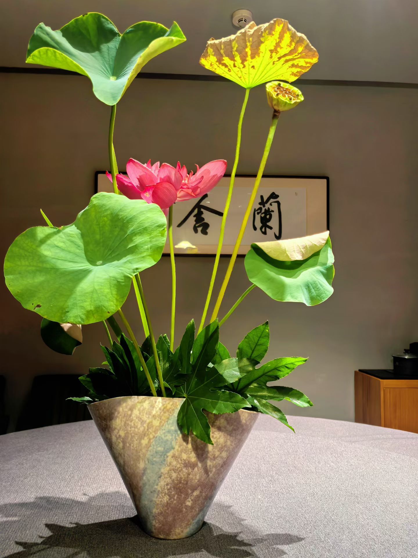 爱肖战、爱美食、爱插花、爱茶艺、爱麻将、爱工作……生命需要很多热爱 