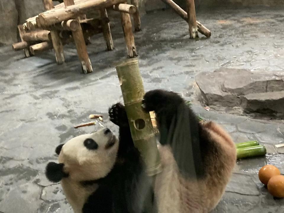 我现在后悔的事，
是5月份让我表弟买入比特币，
然后表弟很听话买进入，
现在快接