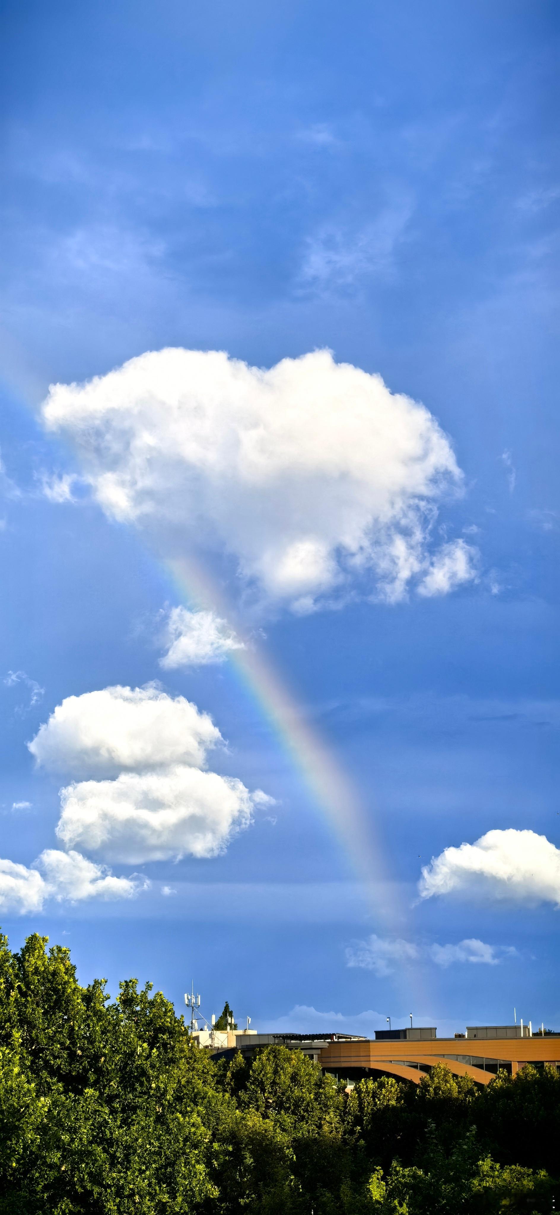 还没下雨，但是看到了彩虹～彩虹 ​​​