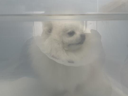 我可能上辈子欠她的🥺