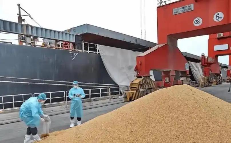 中美在巴黎刚过完招，美国人正死死盯着中国人的钱包，逼着咱们买大豆。结果呢？美国大