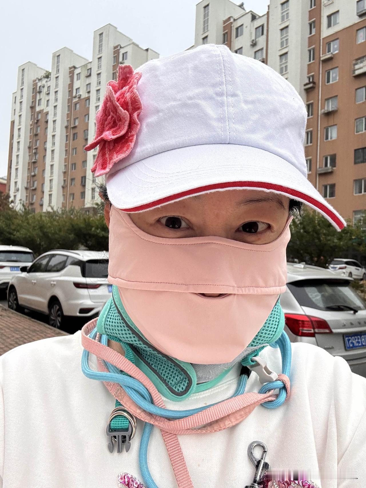 我的天呐，今天可太凉了！
出门遛狗，风直往脖子里灌，冻得我脖子冰凉。
没办法，我