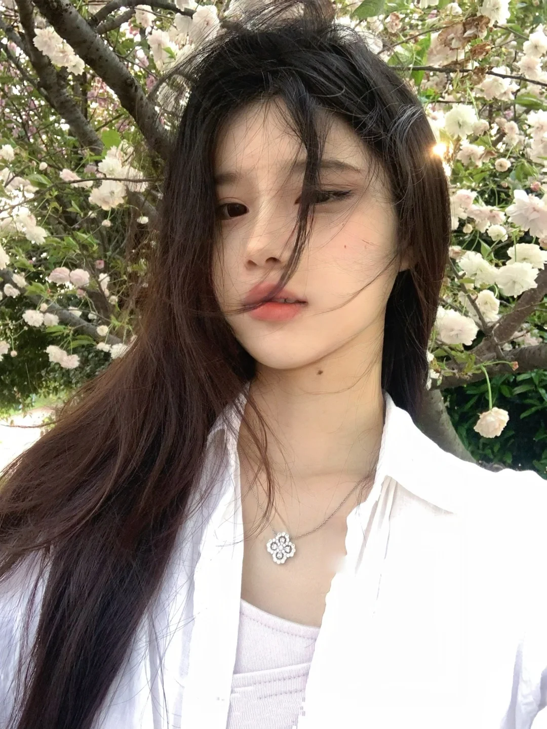 樱花季🌸