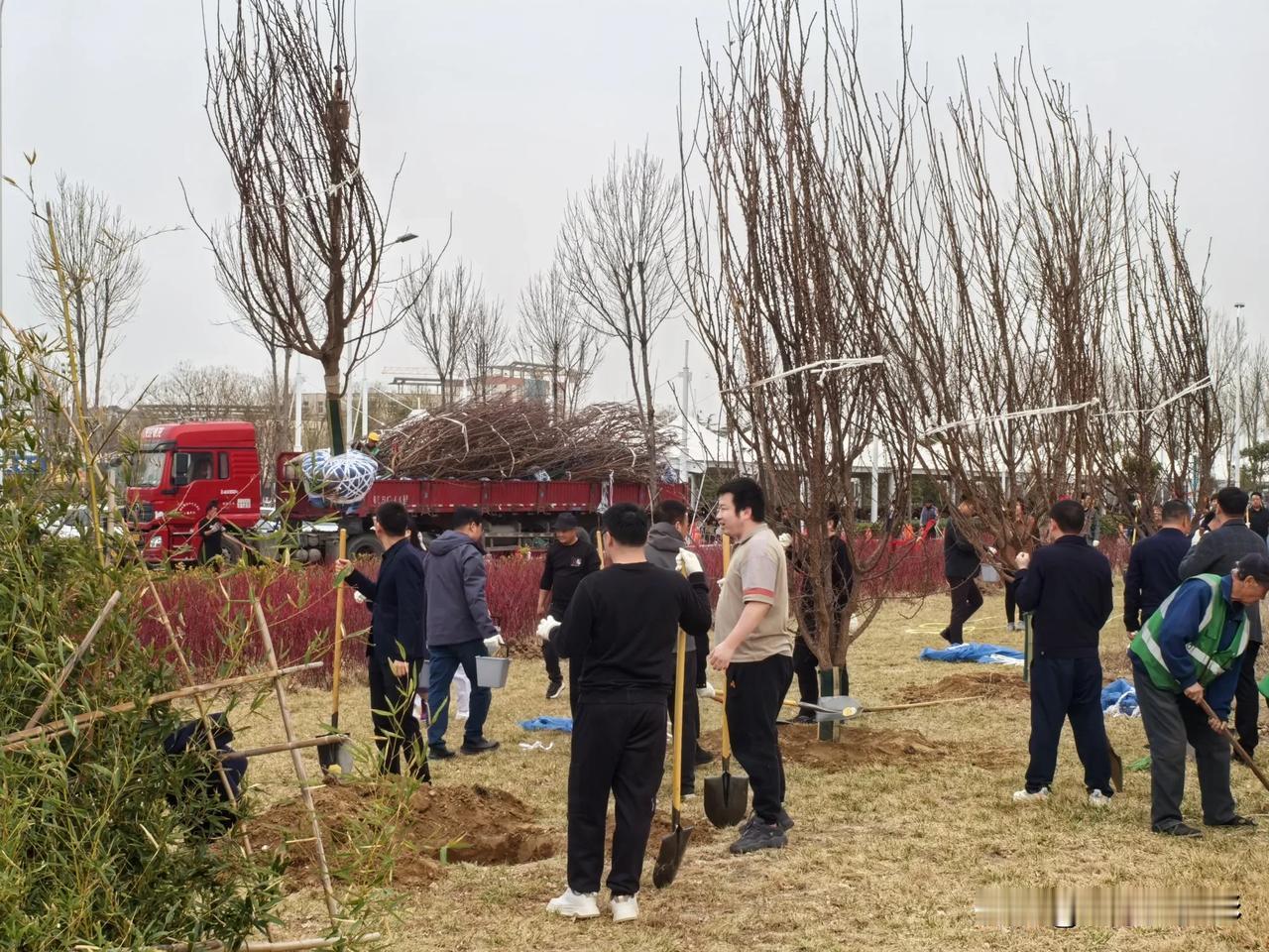 3月12日，植树节。邢台市人民医院职能科室职工化身“绿色使者”，一铲一土，在院内