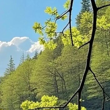 每日一善  每日一善   阳光信用 打开幸福之门有四把钥匙：口中有德，目中有人，