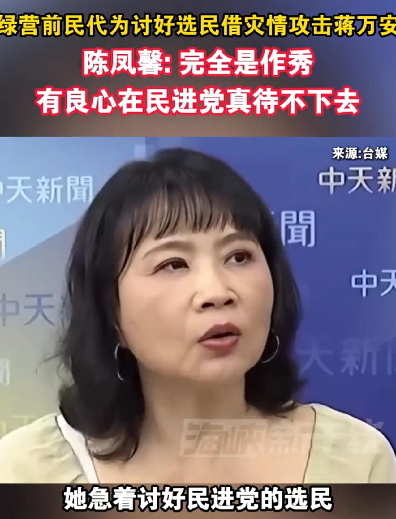 台湾时事评论员陈凤馨“吐槽”民进党：一个有良心的人在民进党内部是待不下去的，因为
