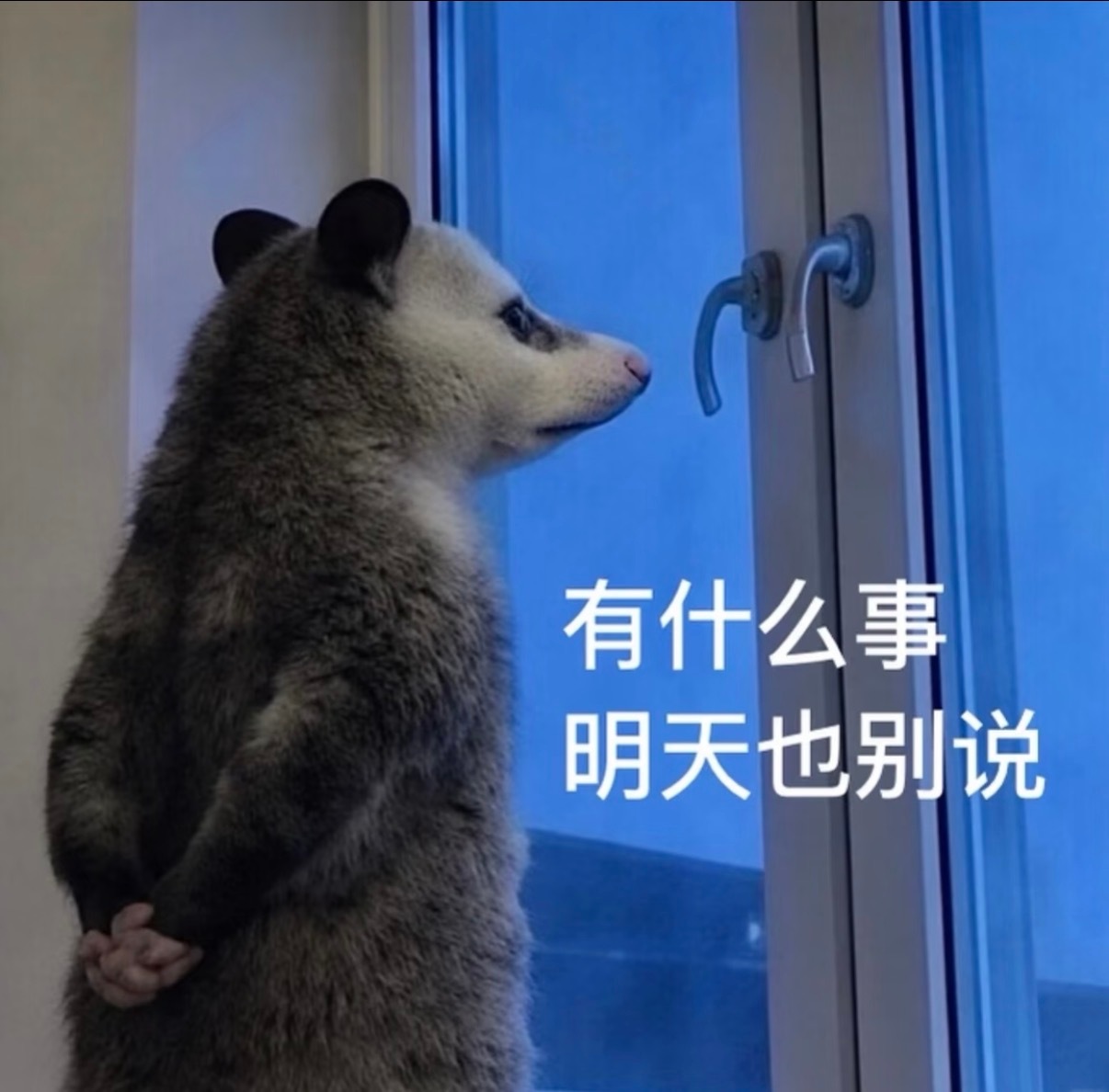 首页好混乱啊 