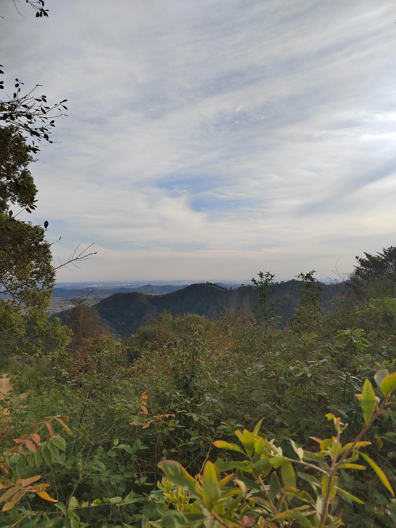 初冬时节爬大荷岭，直到满城灯火亮起后才下山

11.18日下午，才终于爬了一次大